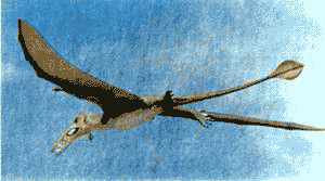 Конгомато - птицезавр